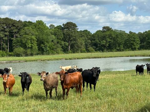 261.6 ac Millside Road +/- Laurel Hill FL 32567