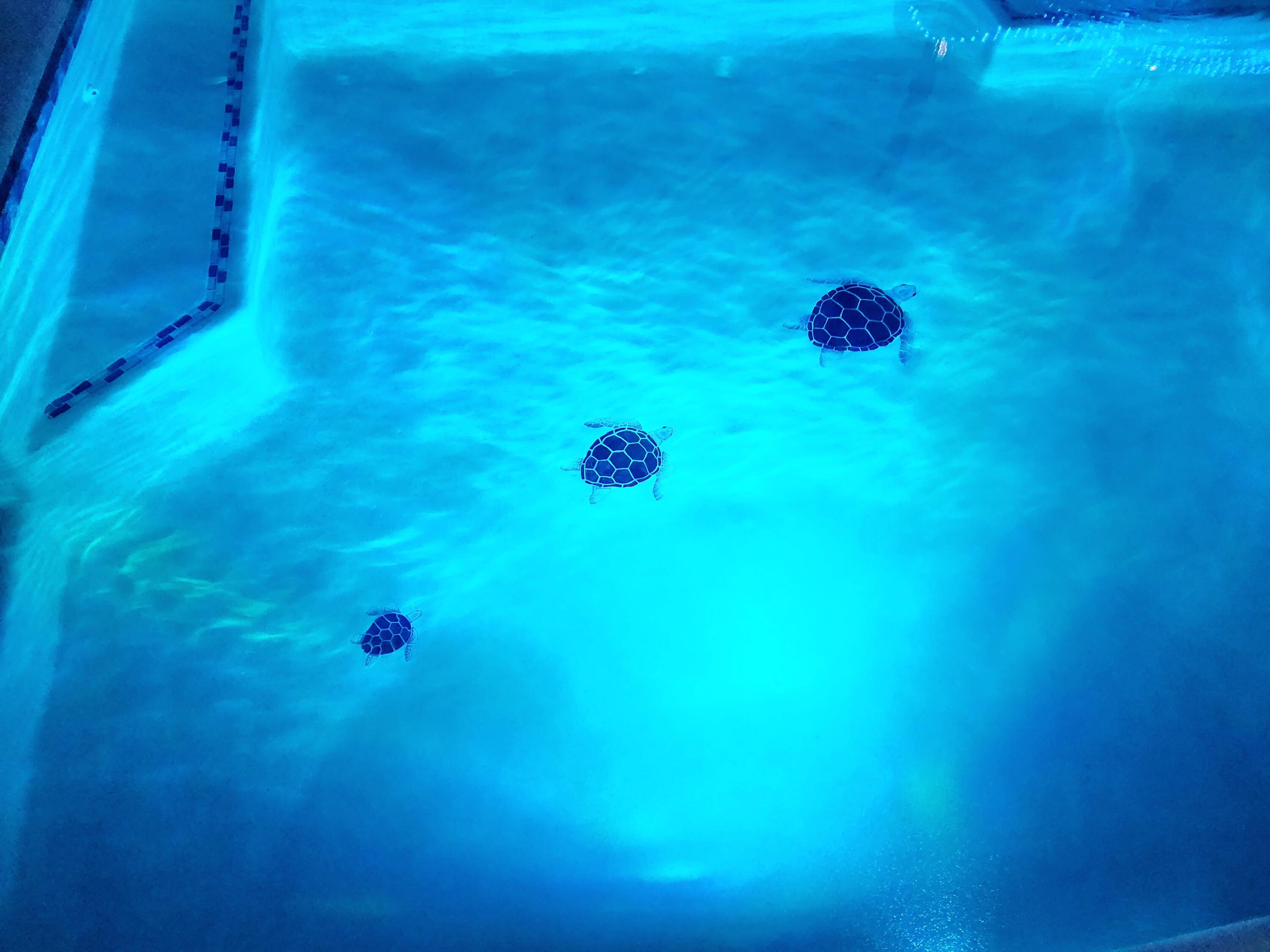 Latitude at Watersound - Residential