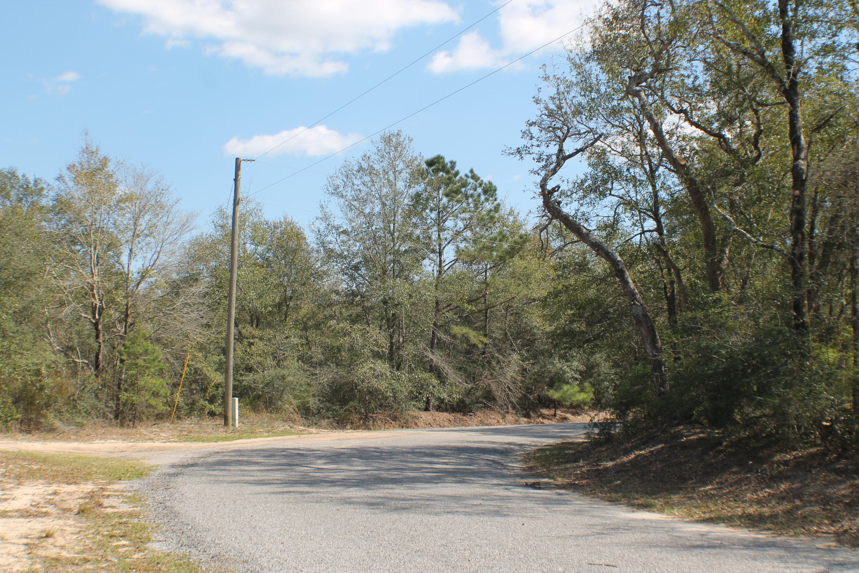 Big Flowing white sandy bottom creek! High Ground, Paved Road, Planted timber! Lots of deer!