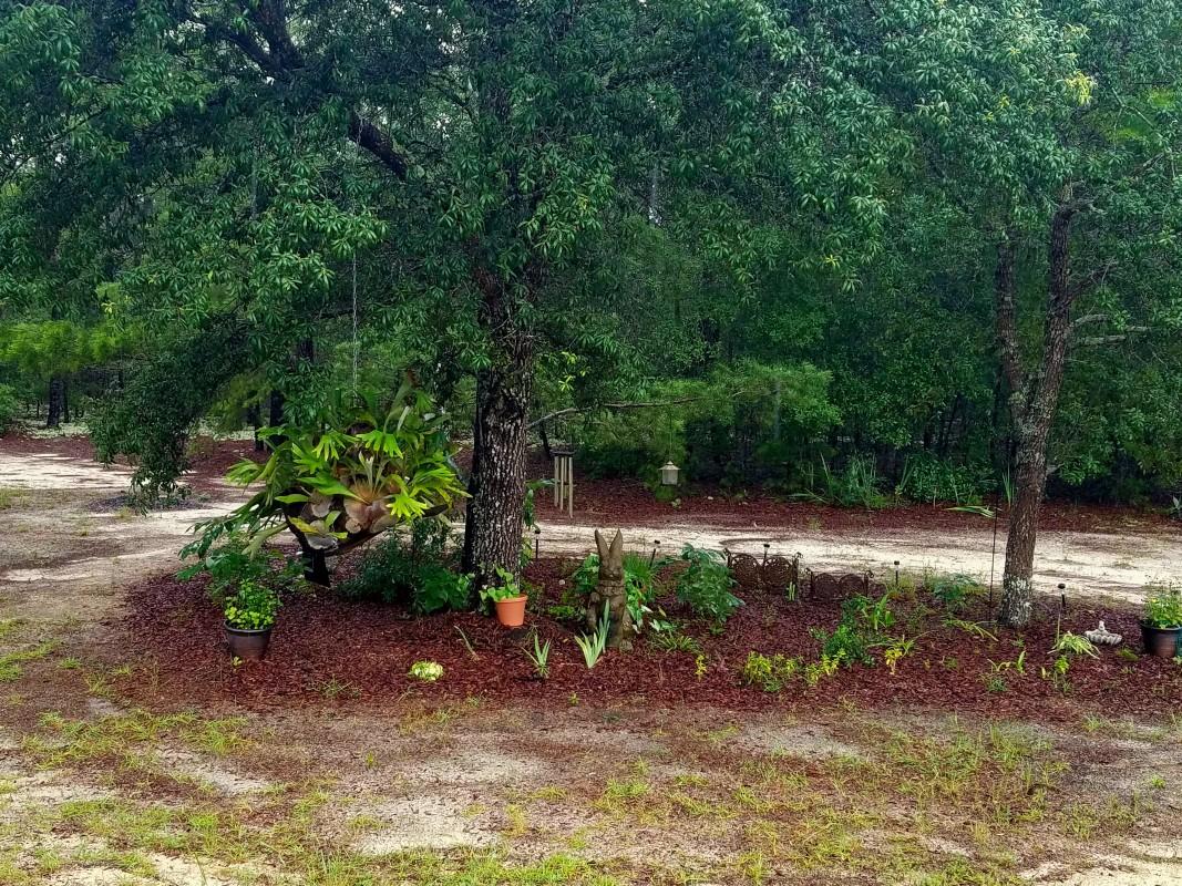 Magnolia Landing - Residential