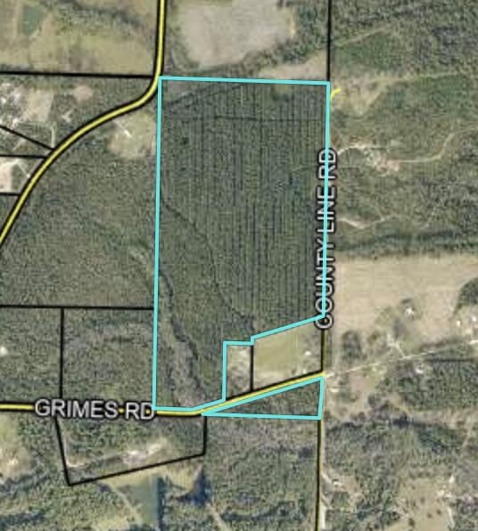 72 Acres with Planted Pines and Historic Homesite - A Tranquil Investment OpportunityDiscover the perfect blend of natural beauty, income potential, and rustic charm on this expansive 72-acre property. Nestled in a quiet rural setting, this tract features well-maintained planted pine timber, offering future harvest value and a serene backdrop for outdoor living or recreation. With mature shade trees, and potential access to utilities, it provides a great spot for building your dream home, hunting cabin, or weekend retreat.Whether you're looking to invest in timber, develop a private getaway, or enjoy the peace and quiet of nature, this land this land offers endless possibilities. Trails, wildlife, and open spaces make it ideal for hunting, hiking, or four-wheeling.