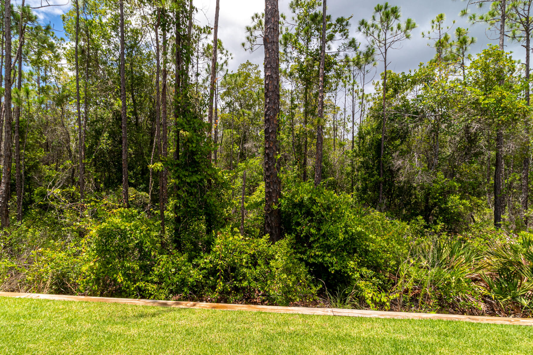 Ridgewalk - Residential