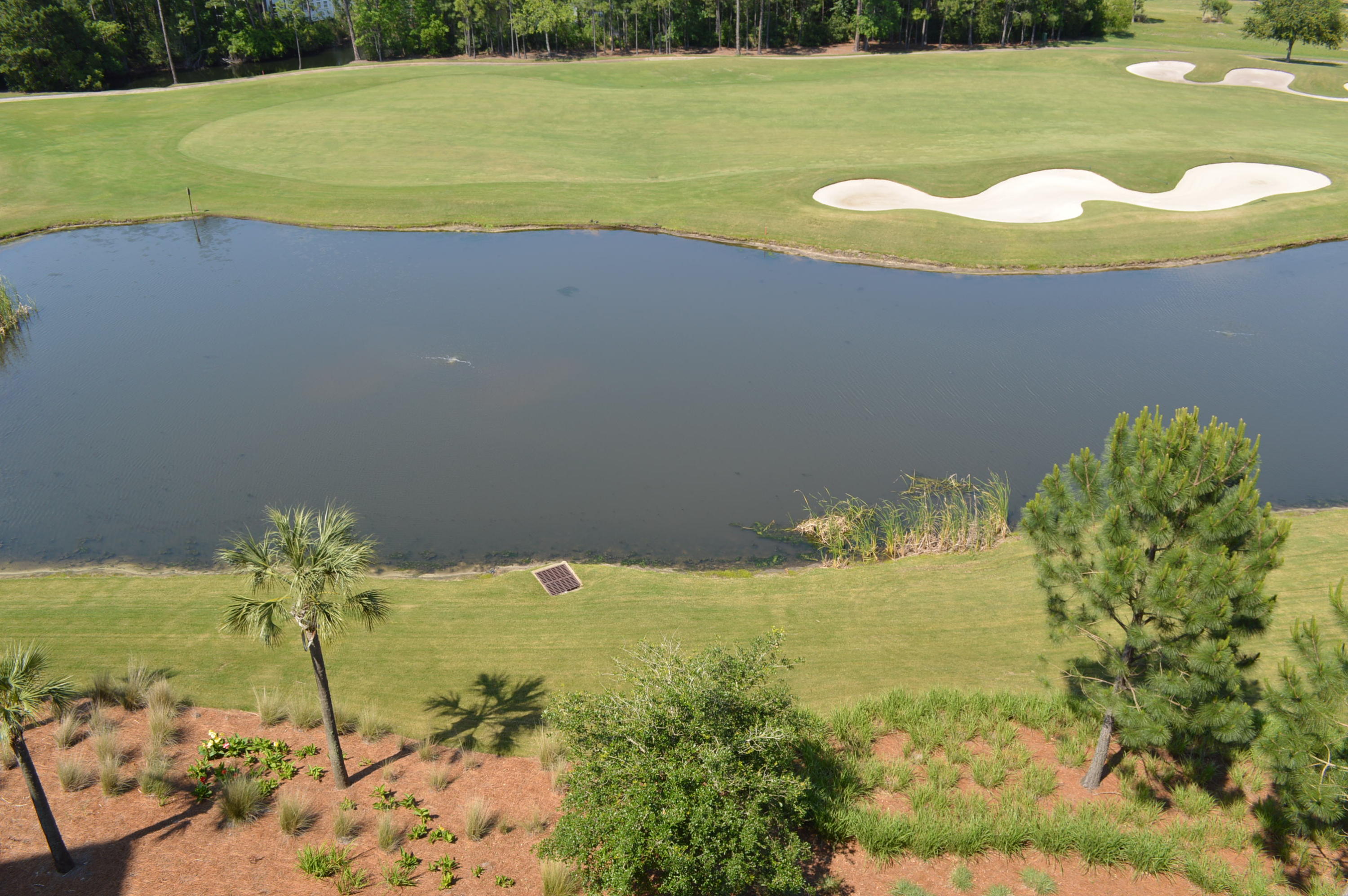 ELATION - Residential