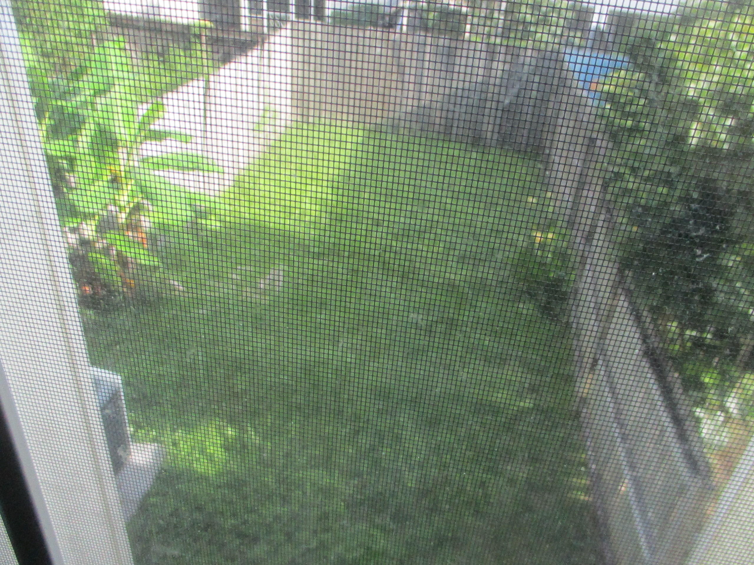 Schneider Dr T/H - Residential Lease