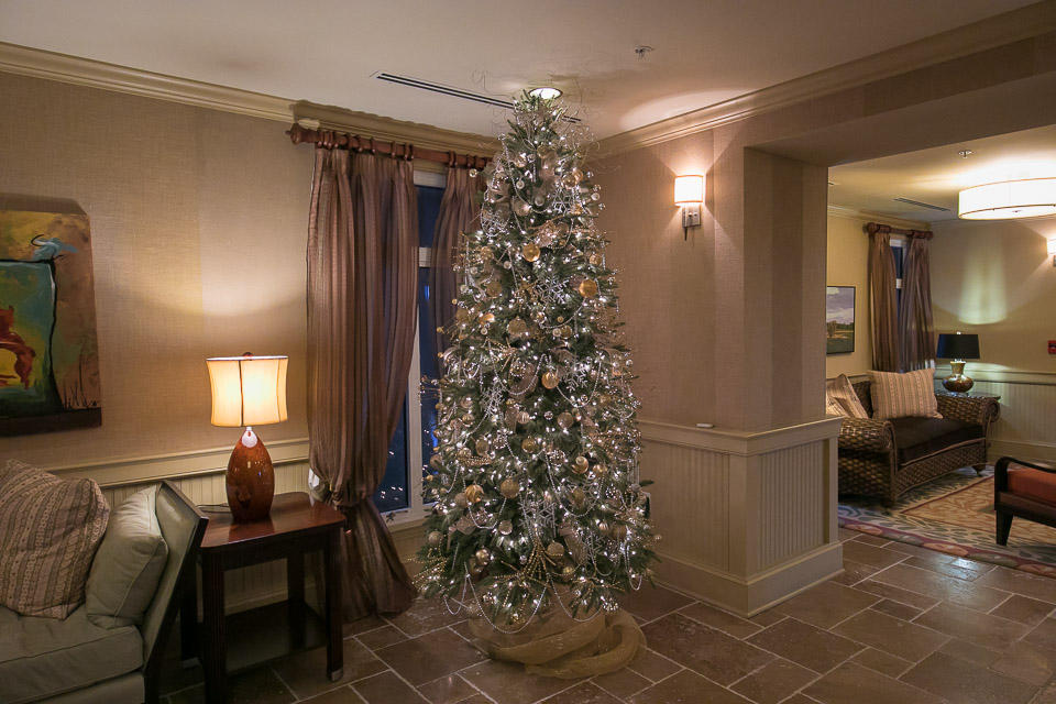 ONE WATER PLACE - Residential