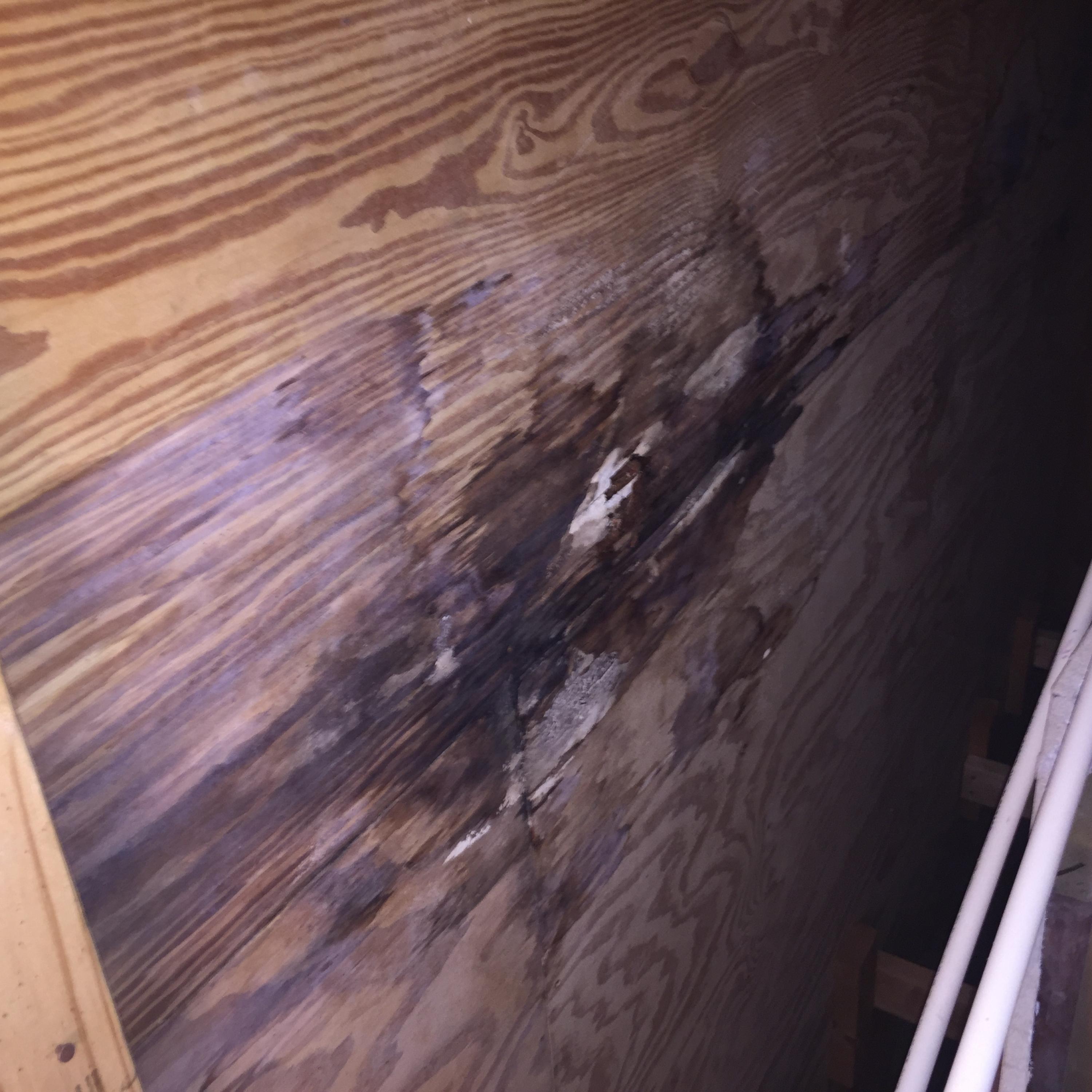 BAHIA BADAR - Residential