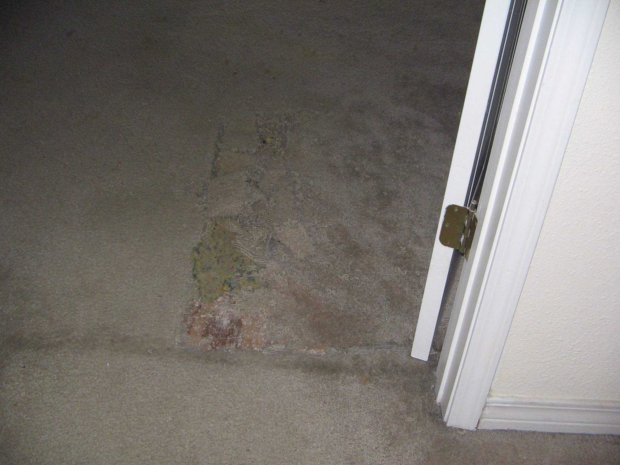 BAHIA BADAR - Residential