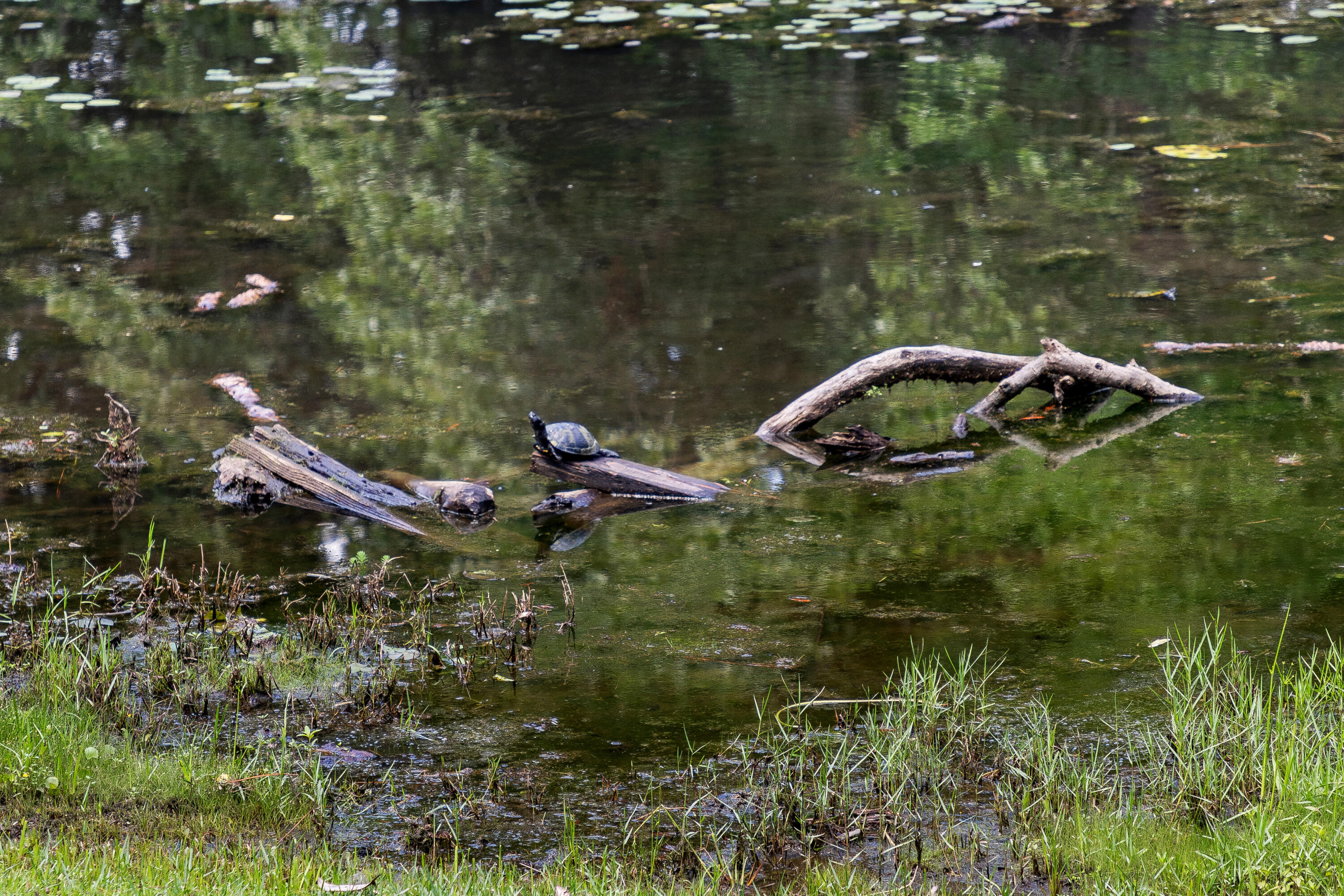 PINE LAKE S/D - Residential