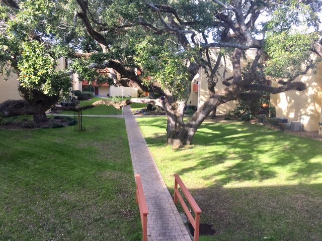 CEDARS CONDO - Residential Lease