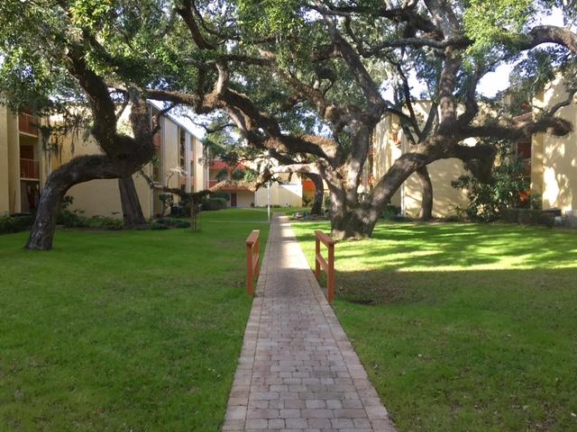 CEDARS CONDO - Residential Lease