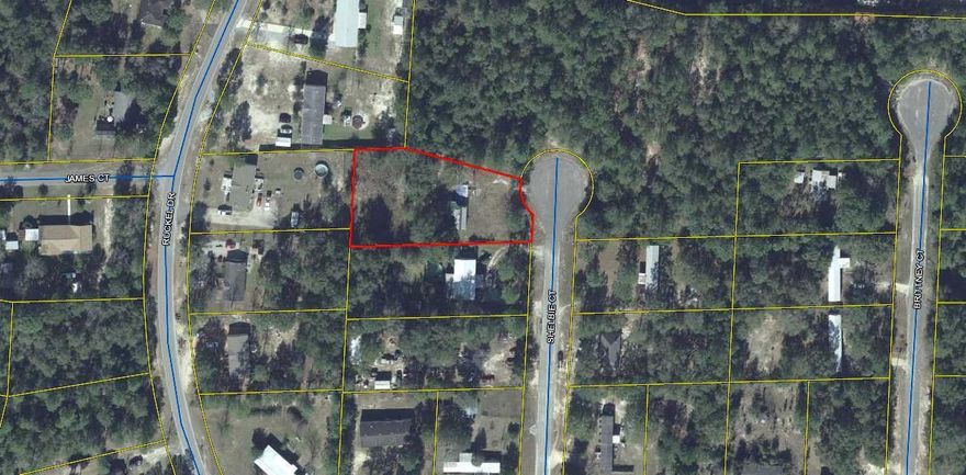 Perfect lot for mobile home off Ruckel Road on Shelbie Court.  Lot has a full set up of water tap and septic and power pole.  Established yard with grass and shade trees.  It has a mobile home on it that burned.  Buyer's responsibility to remove.
