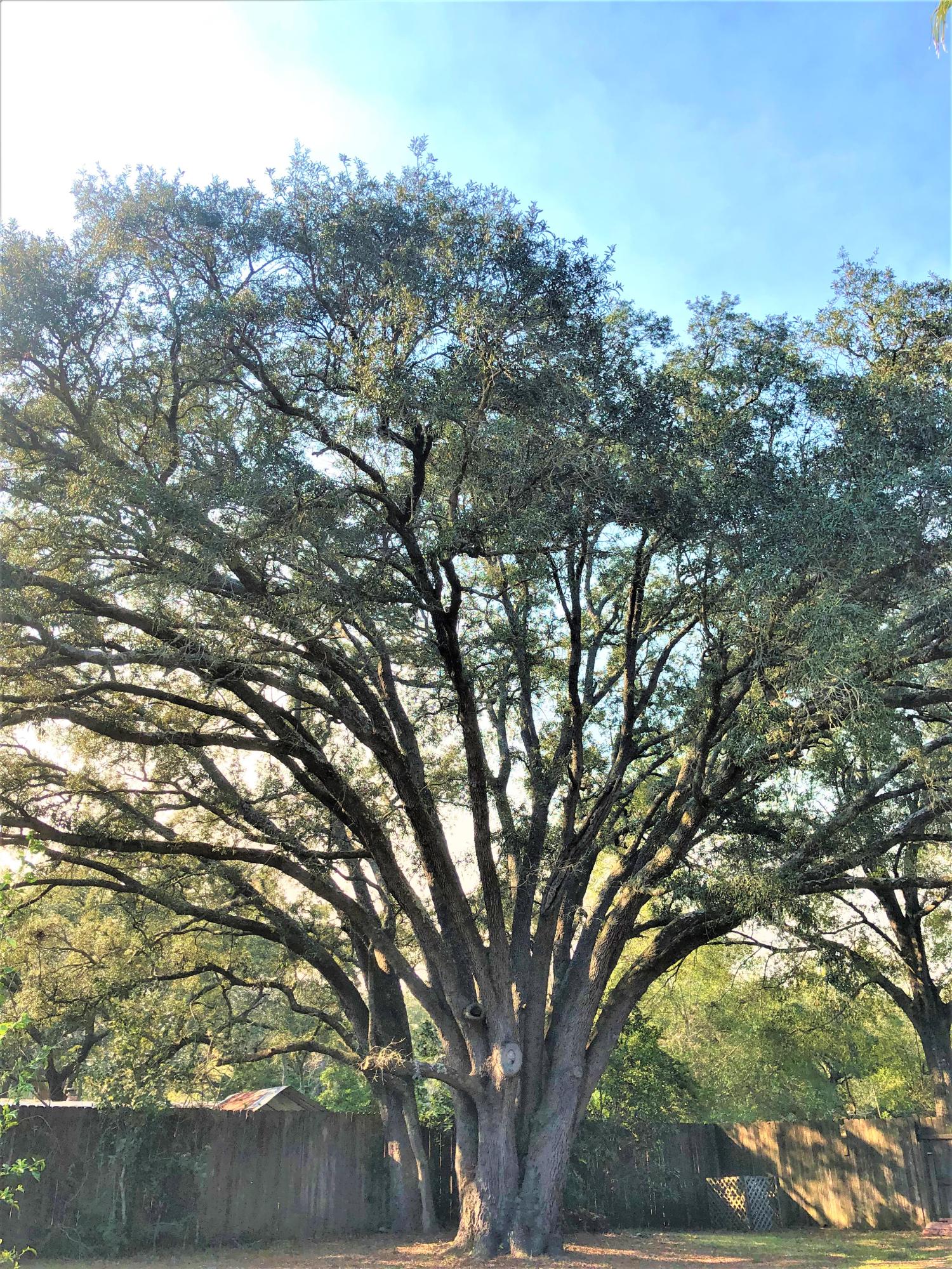 CHATEAUGUAY 2 - Residential