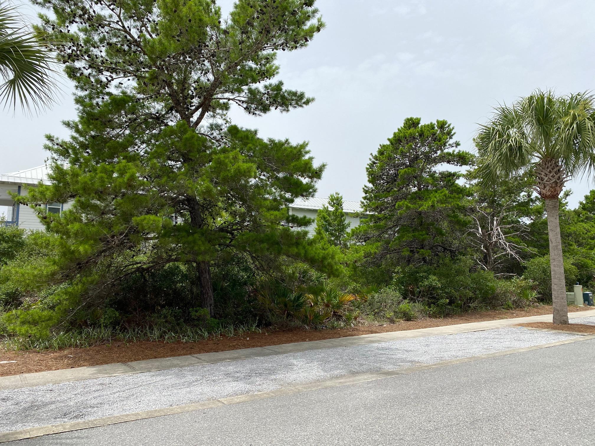 Seacrest Beach - Land