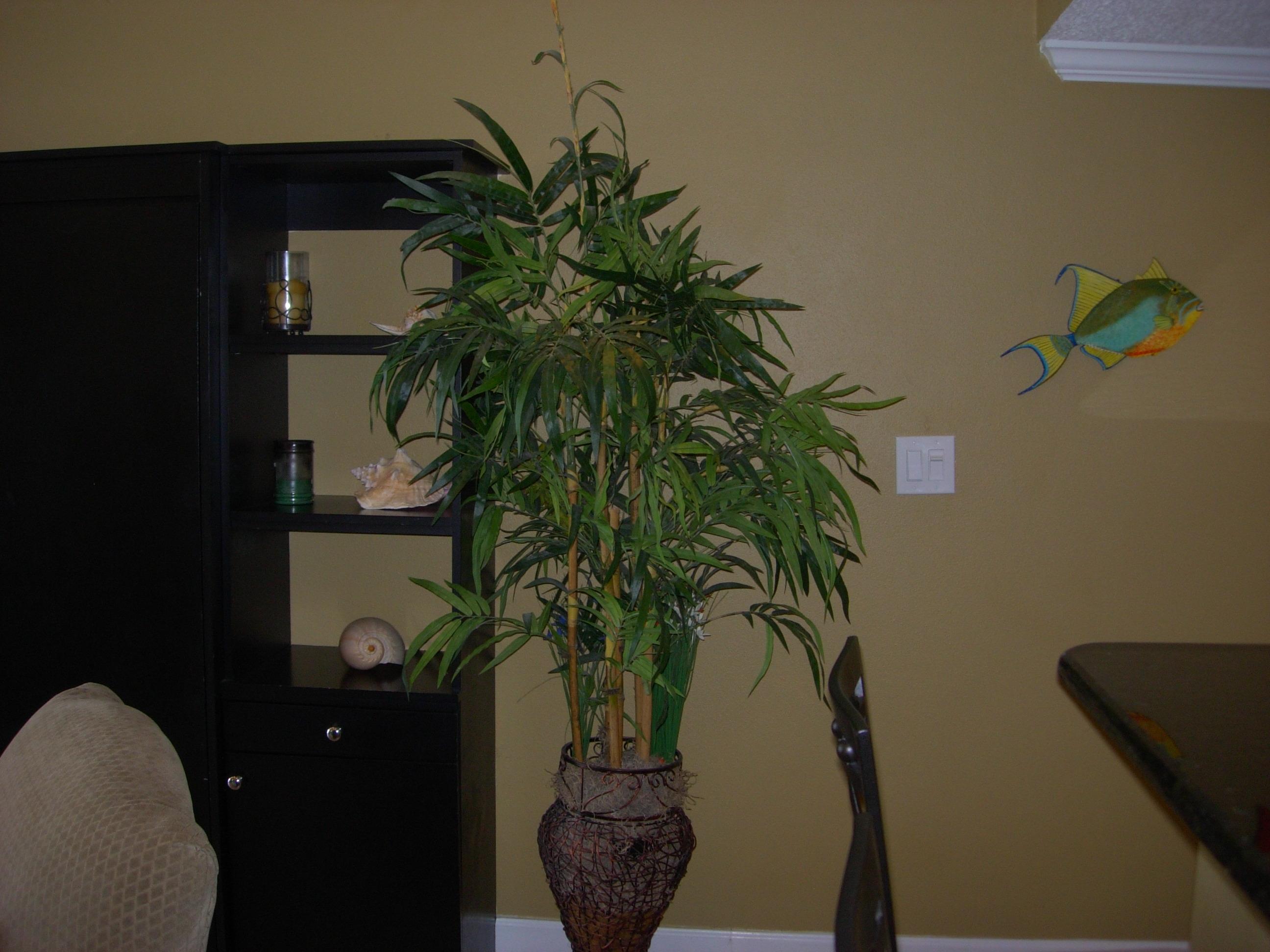 SUNDESTIN INTERNATIONAL CONDO - Residential