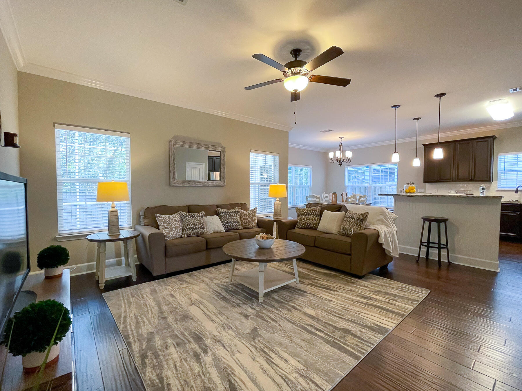 ENDICOTT VILLAGE - Residential