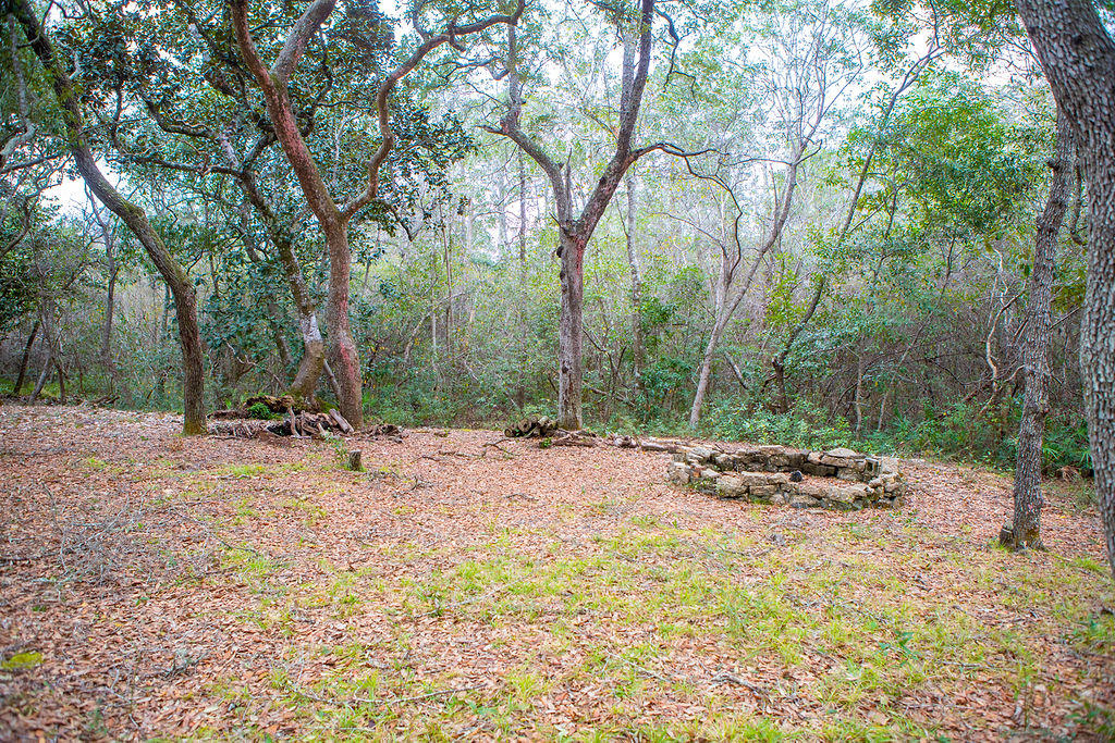 HOLLY WOODS - Residential