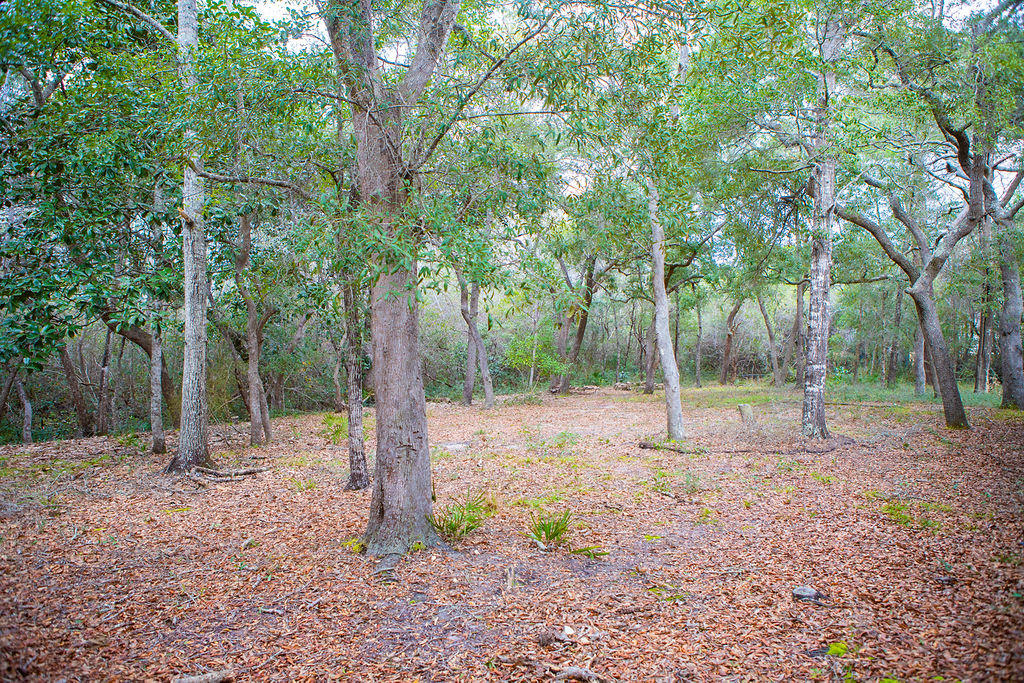 HOLLY WOODS - Residential