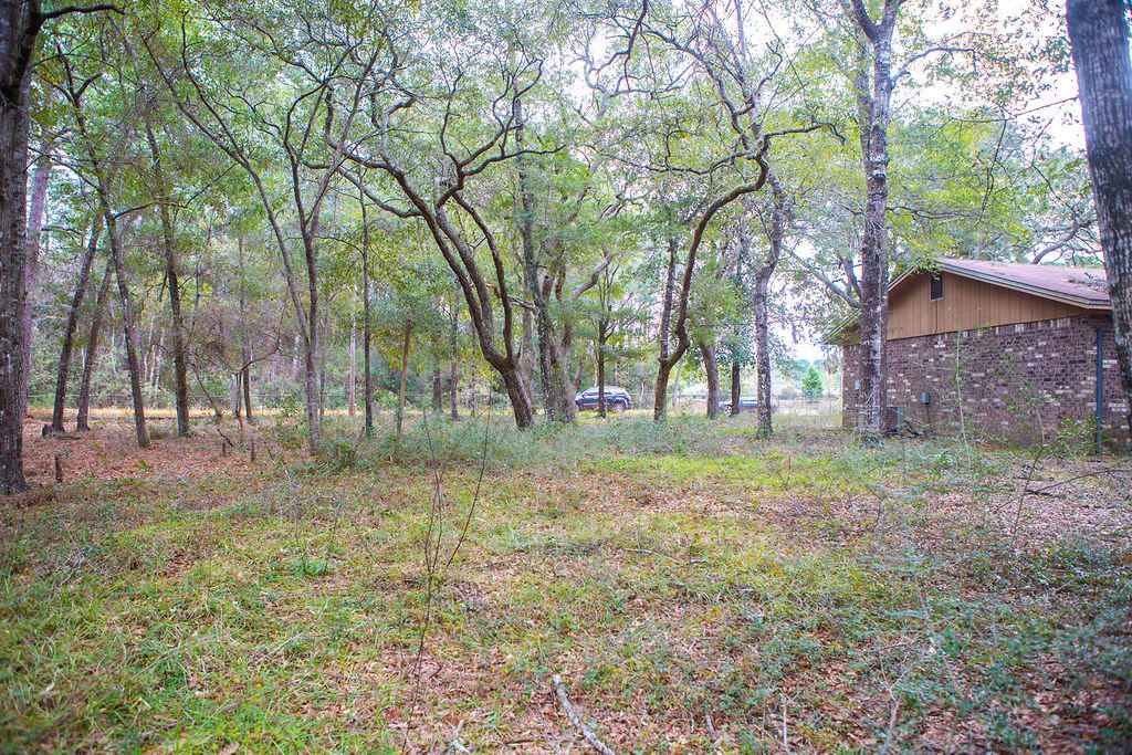 HOLLY WOODS - Residential