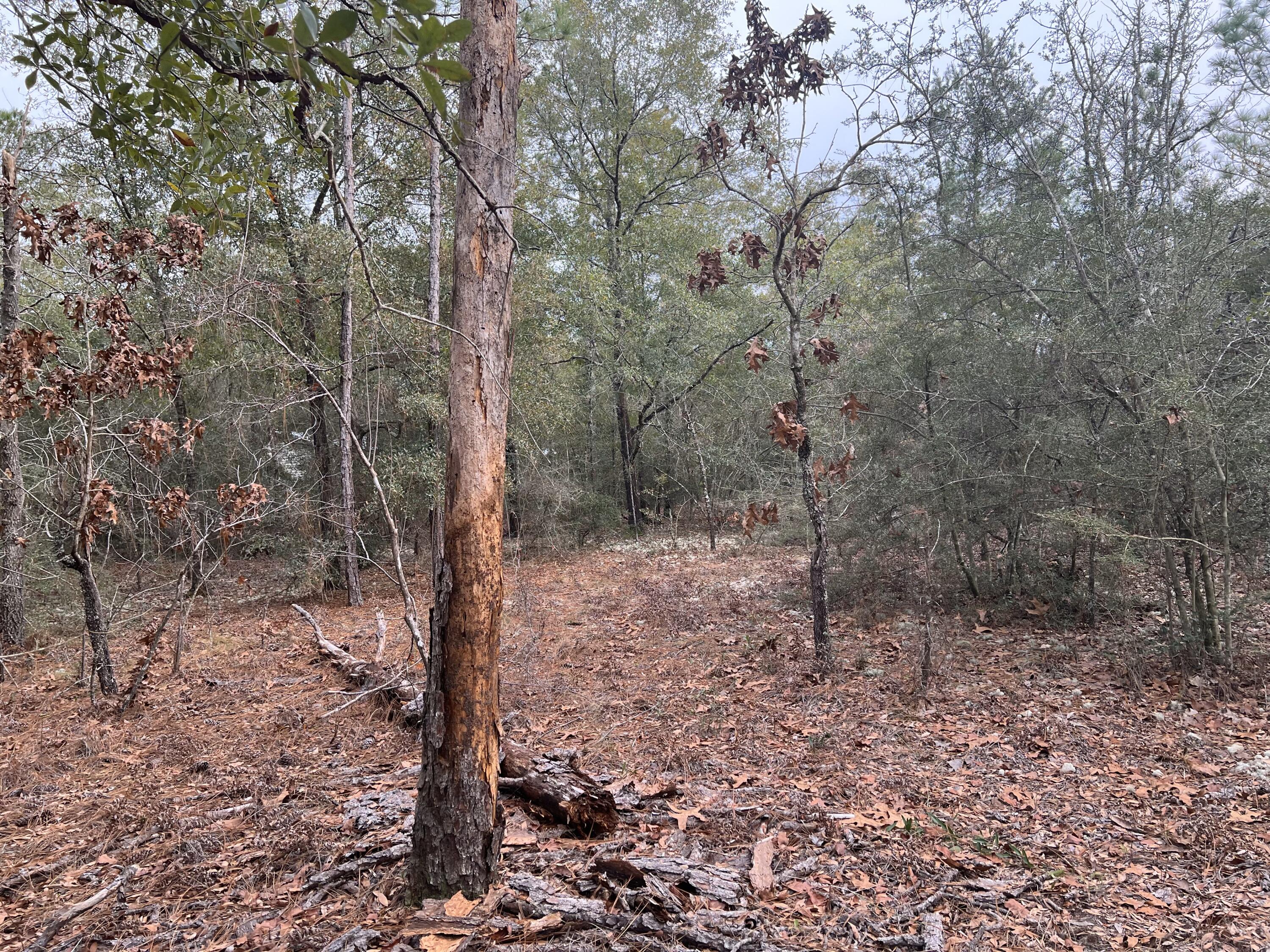 Oakwood Hills Unit 01 - Land