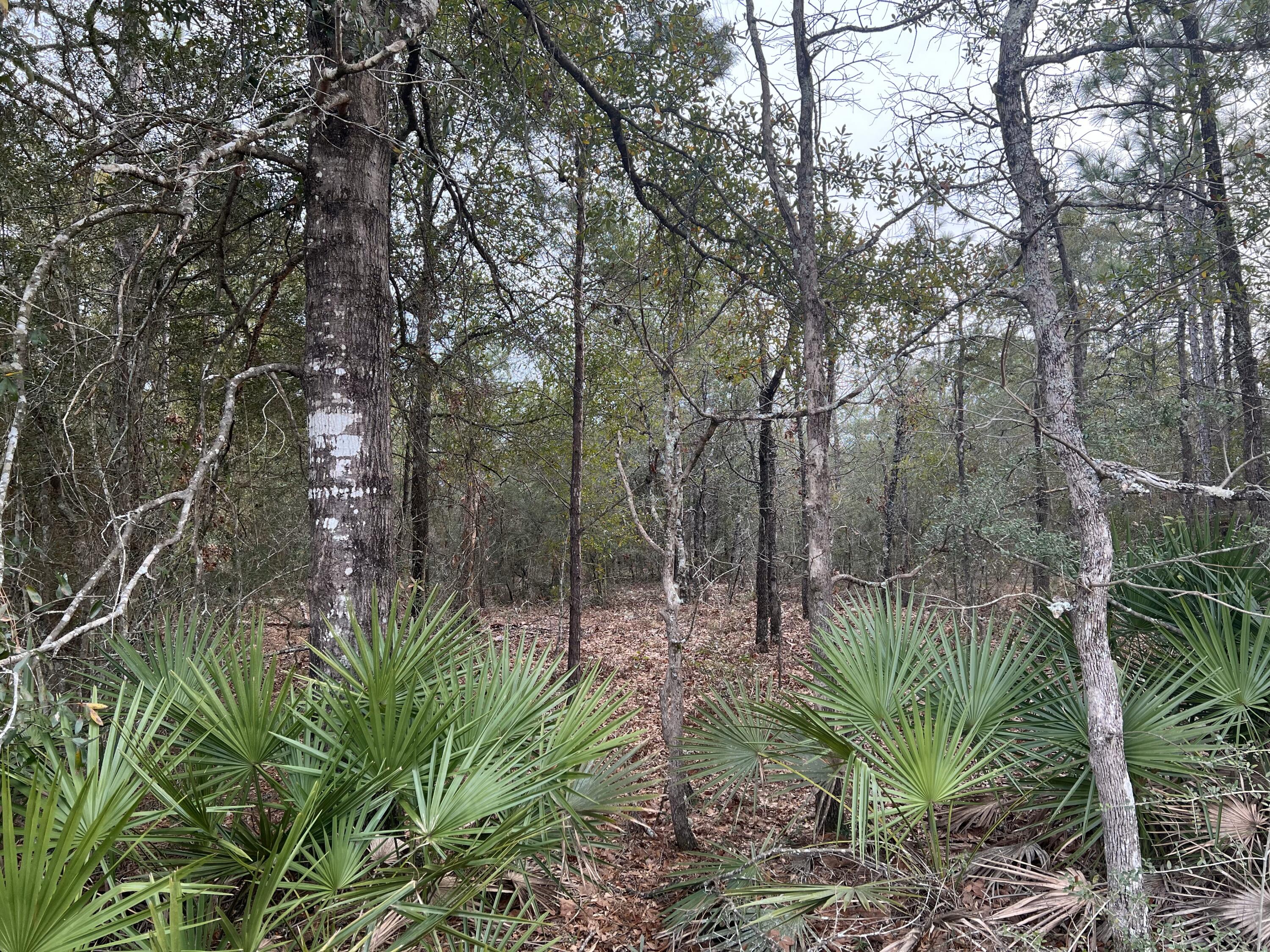 Oakwood Hills Unit 01 - Land