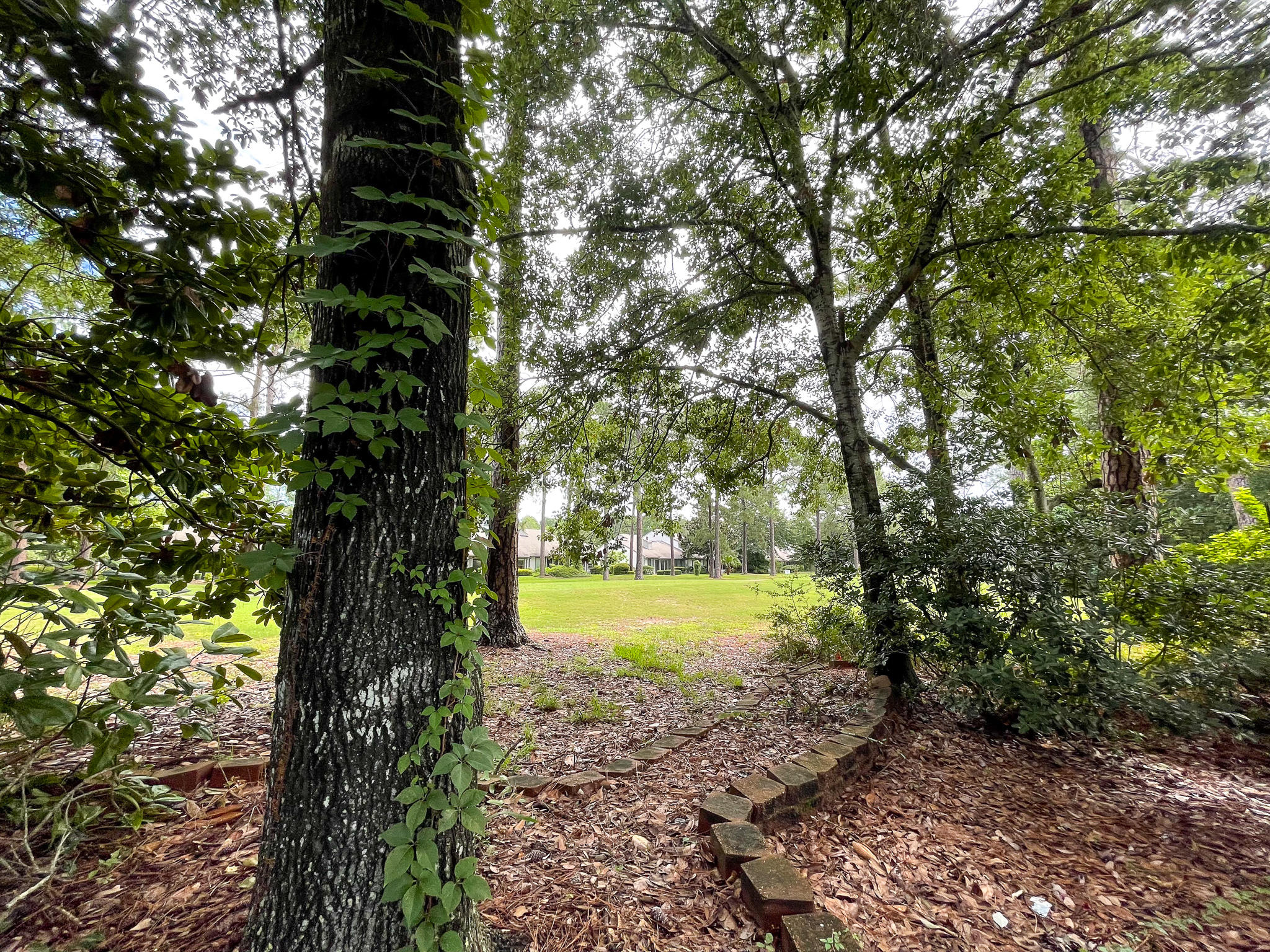 BLUEWATER BAY 3 - Residential