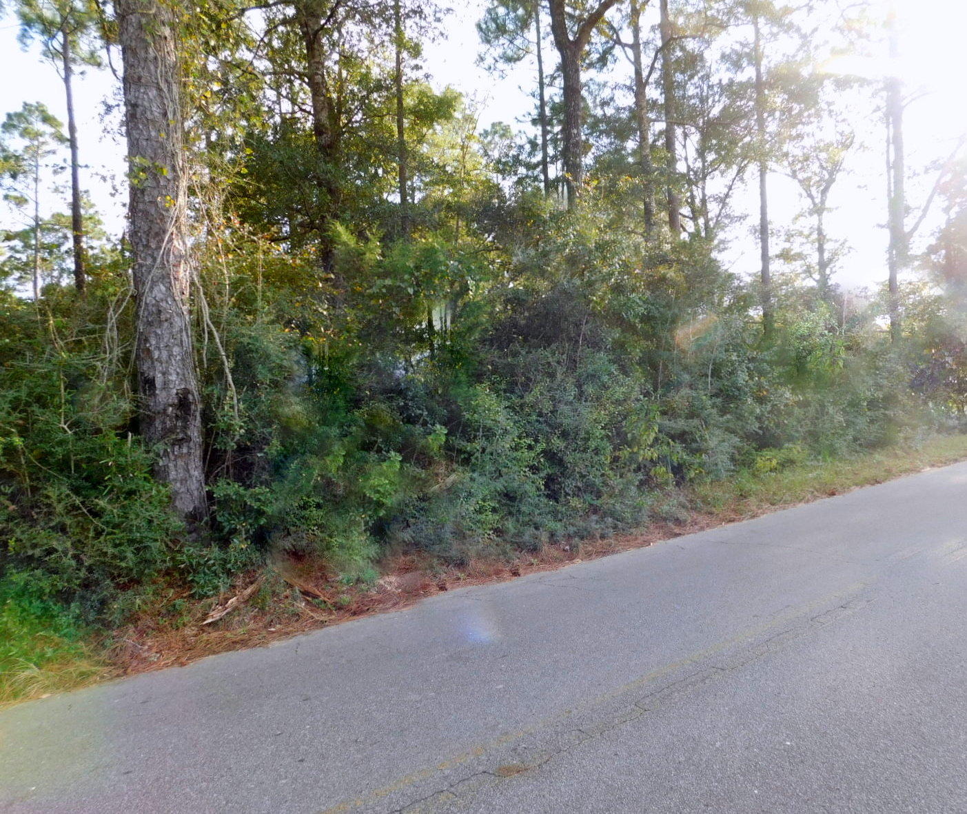 Main image without alt text