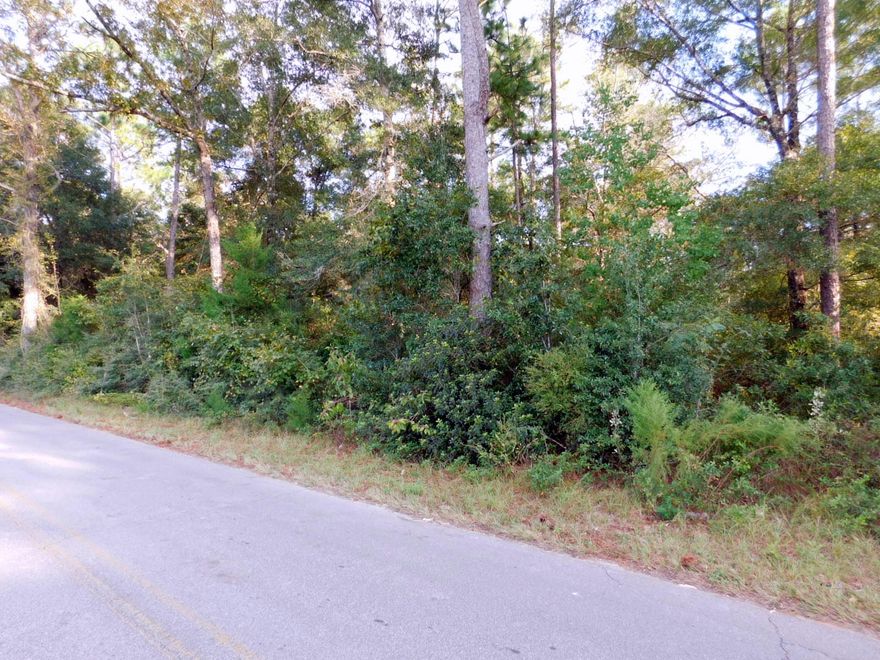 Located in Baker, FL on tranquil setting this 10 acre parcel is conveniently located with easy access to main highways, school, shopping and commute to military bases. Come take a look at this beautiful property today and plan to build your Dream Home!