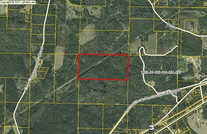 80 Acres in Ponce De Leon! Buy and hold. Could make a great hunting camp. Call today before it is gone.
