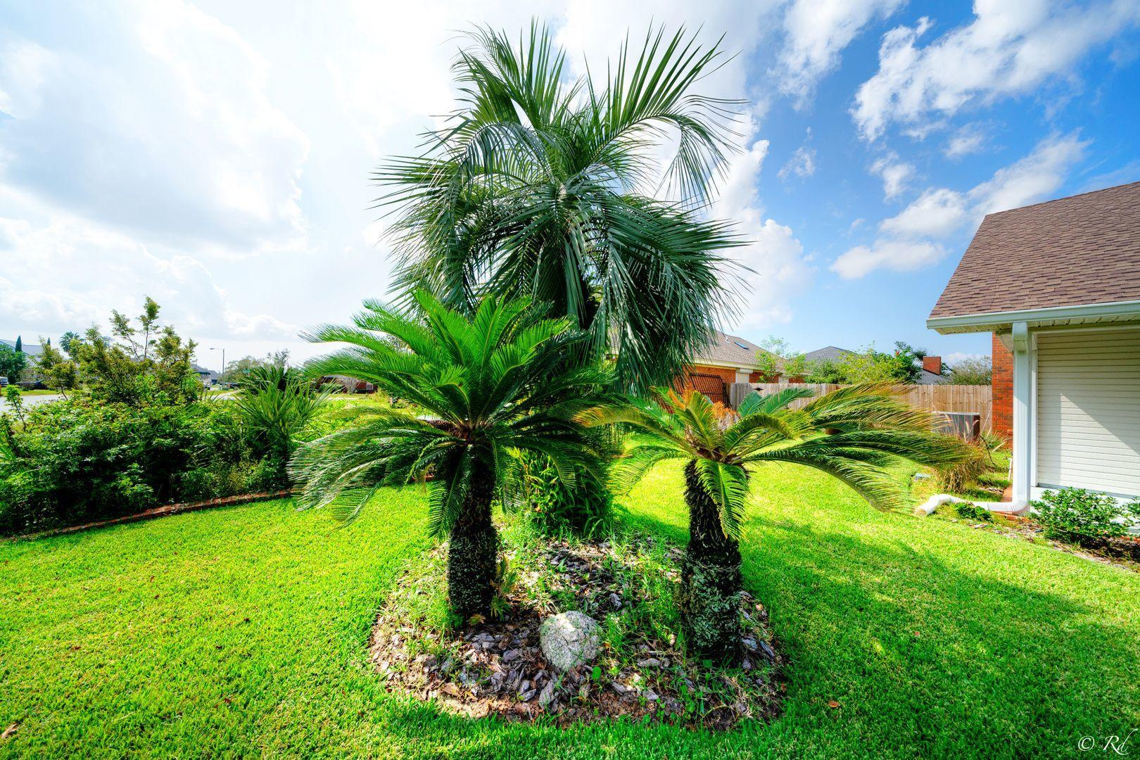 FOREST PARK - Residential