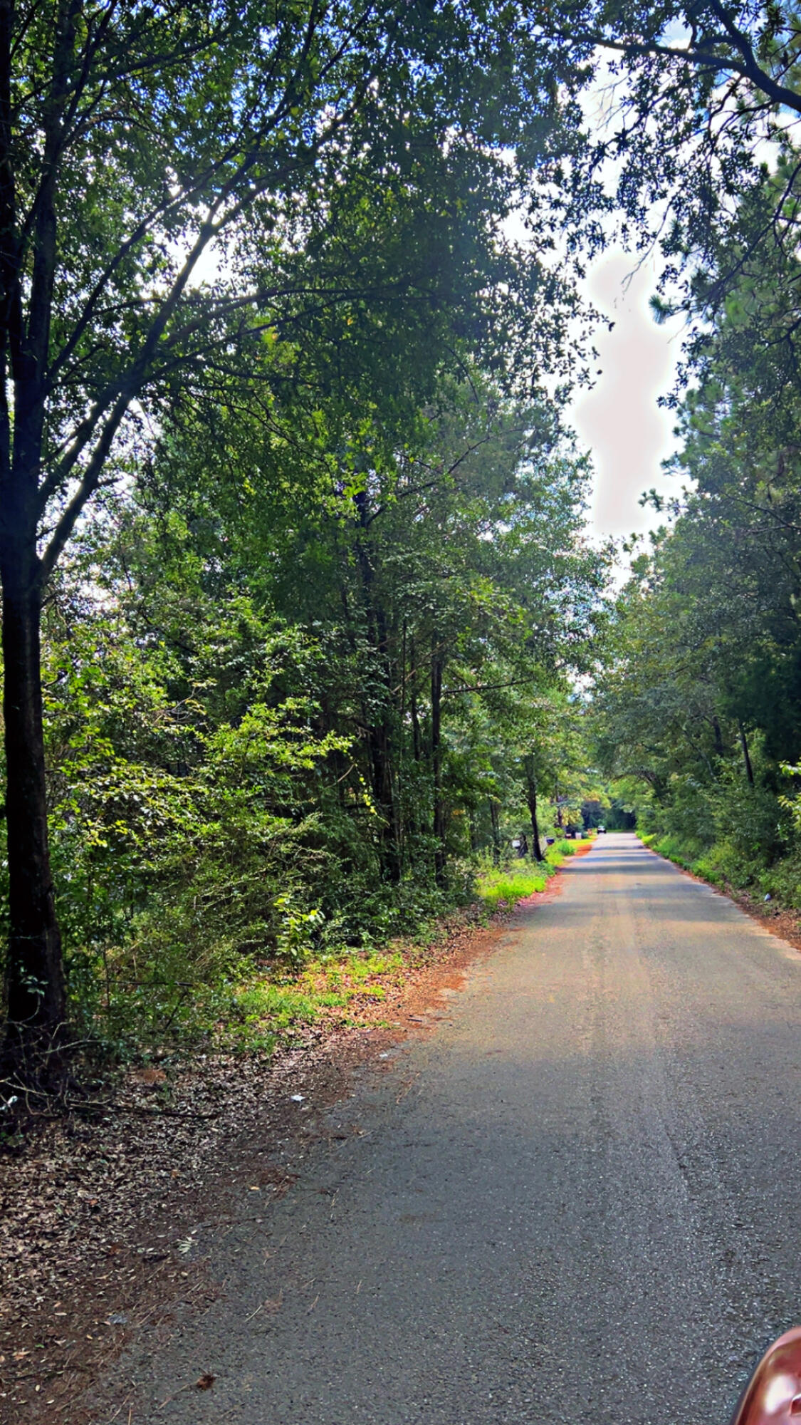 Beautiful building lot on a paved street. No HOA!. Secluded yet connected.