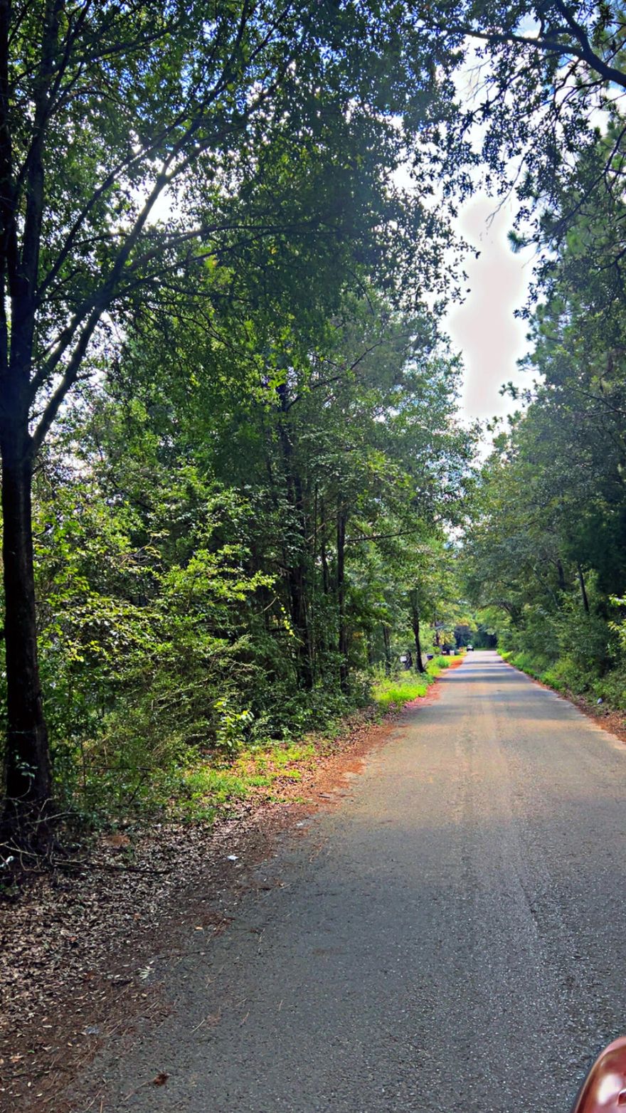 Beautiful building lot on a paved street. No HOA!. Secluded yet connected.