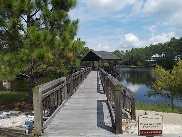 FOREST LAKES PH I - Land