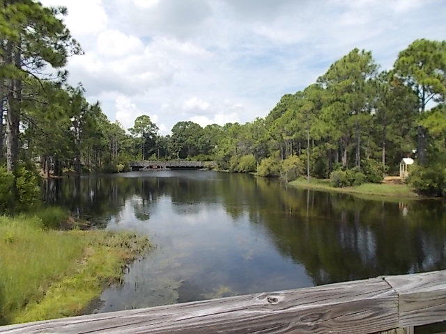 FOREST LAKES PH I - Land