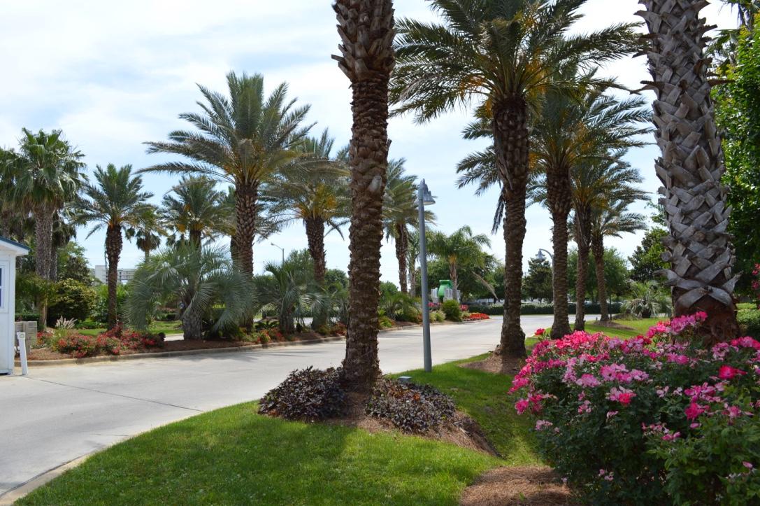 THE PALMS OF DESTIN - Residential