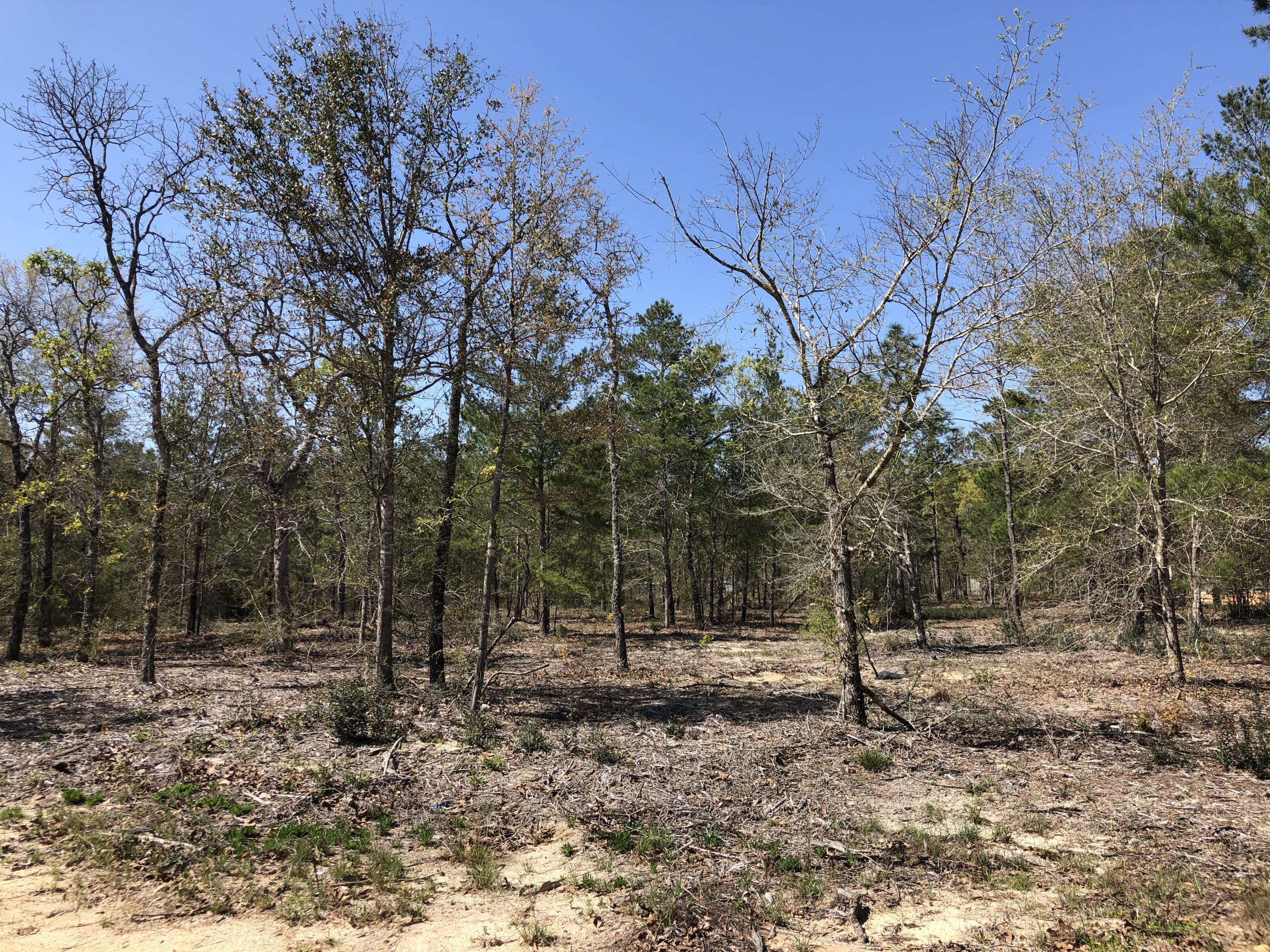 1 acre lot that has has been mulched in Juniper Lake Estates. Great place for building your new home or a manufactured home. Lot has also been surveyed. Lot being sold as is. Buyer to perform all due-diligence.
