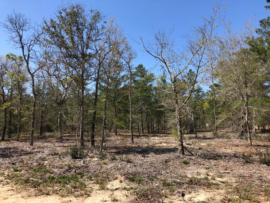 1 acre lot that has has been mulched in Juniper Lake Estates. Great place for building your new home or a manufactured home. Lot has also been surveyed. Lot being sold as is. Buyer to perform all due-diligence.