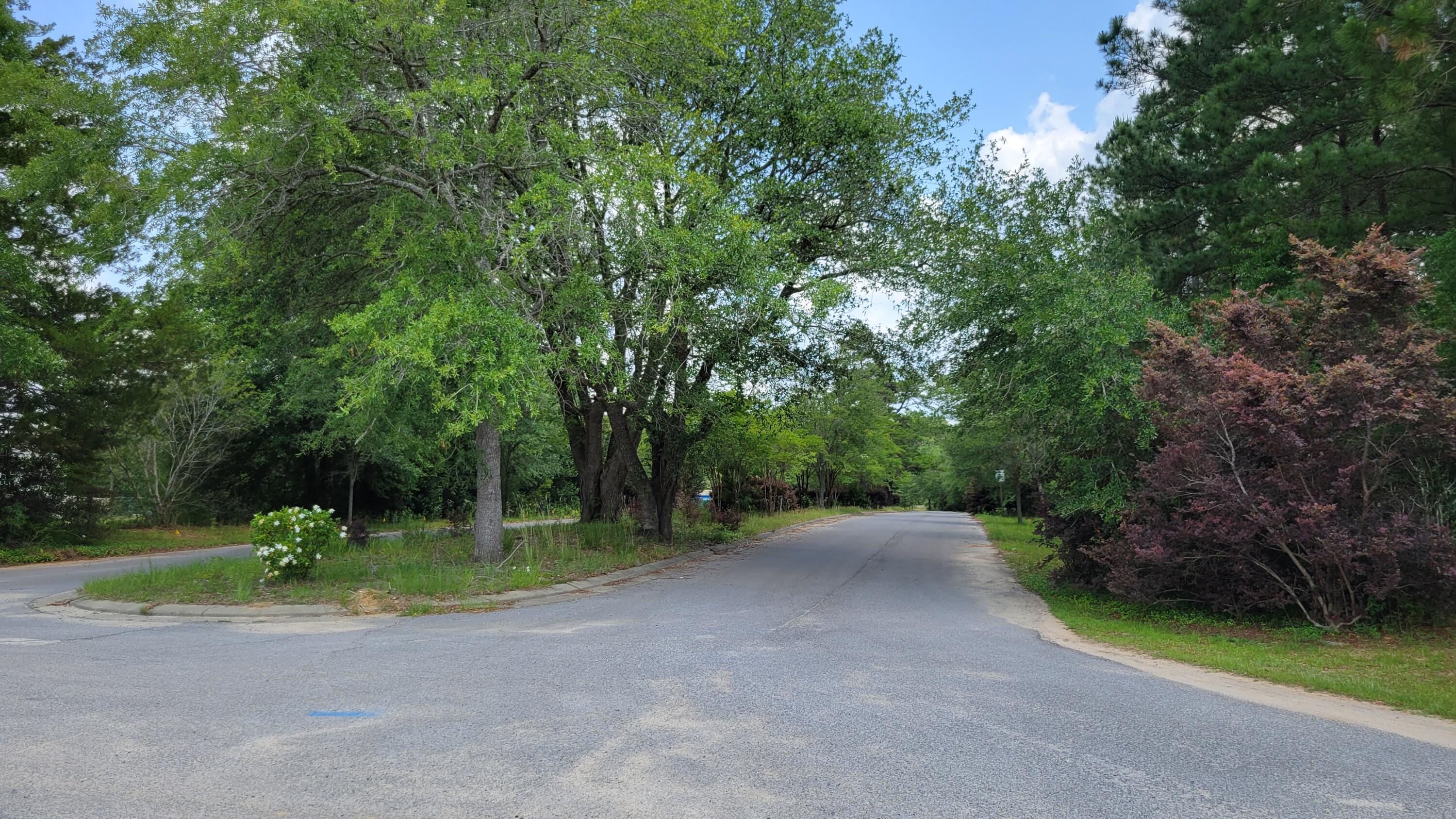 Majestic Oaks Vineyard - Land