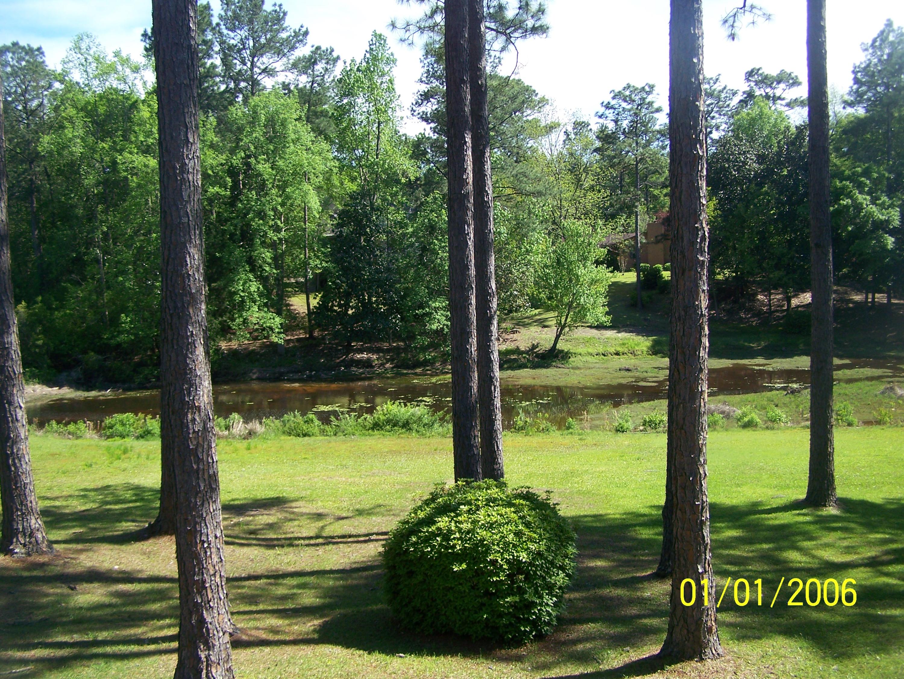 PINE HILL - Residential