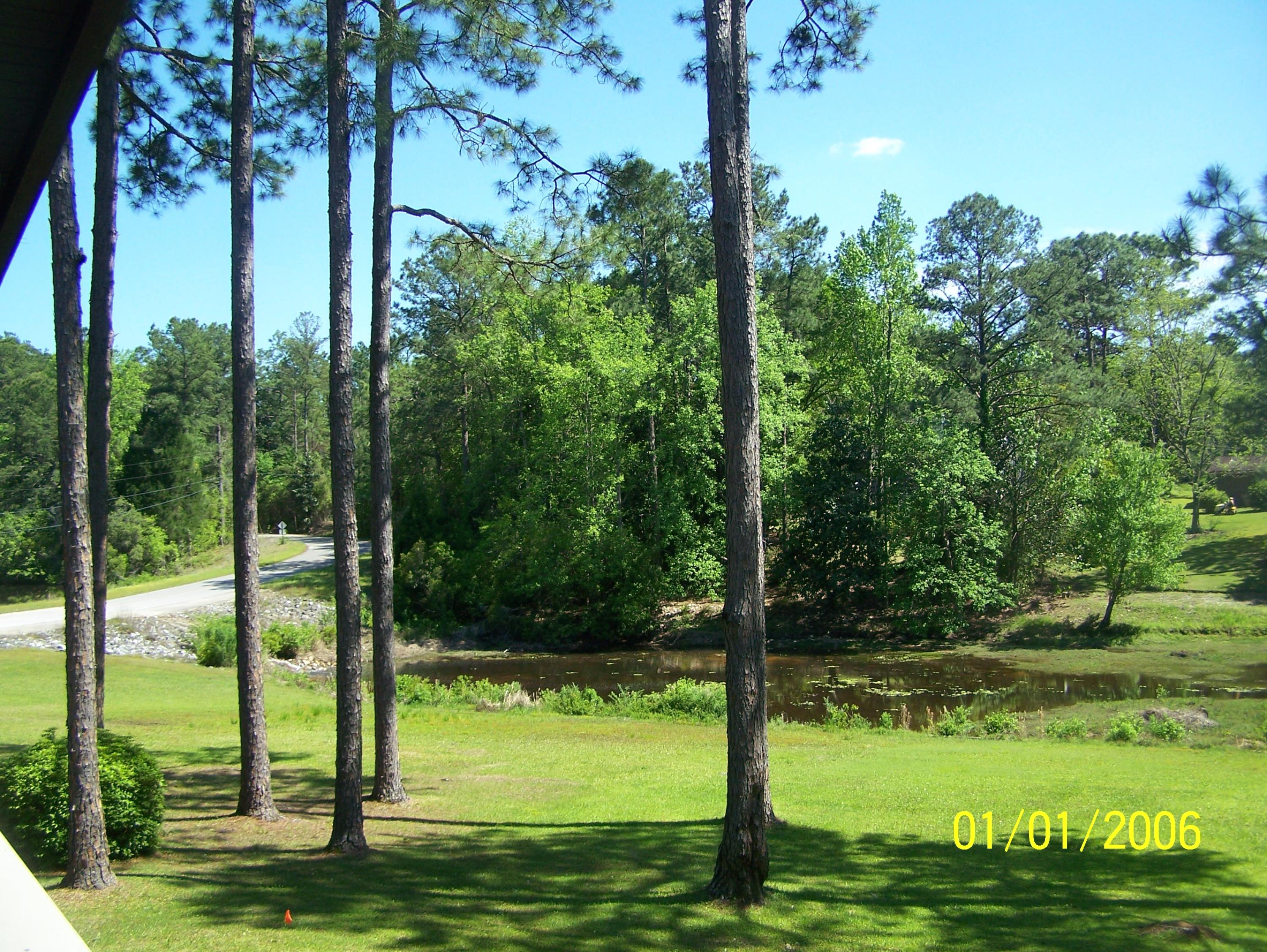 PINE HILL - Residential