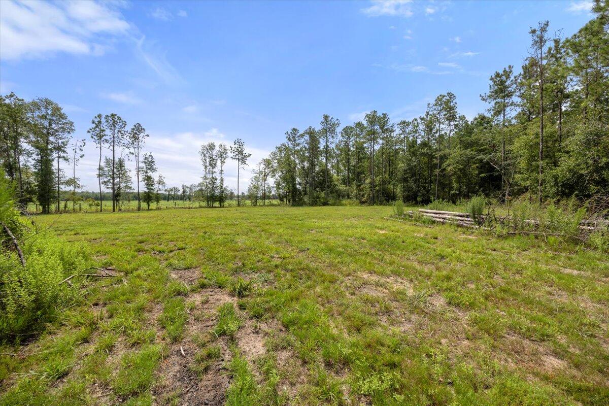 Desc Update For 2023 Parcel ''B'': Com At Ne Cor Of 30-4N-28W Thn N8837'18''W 1316.31 Ft; Thn S - Land