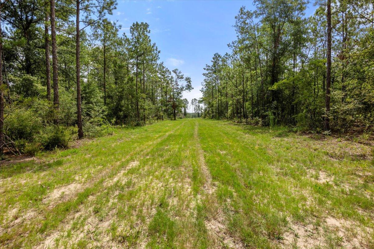 Desc Update For 2023 Parcel ''B'': Com At Ne Cor Of 30-4N-28W Thn N8837'18''W 1316.31 Ft; Thn S - Land