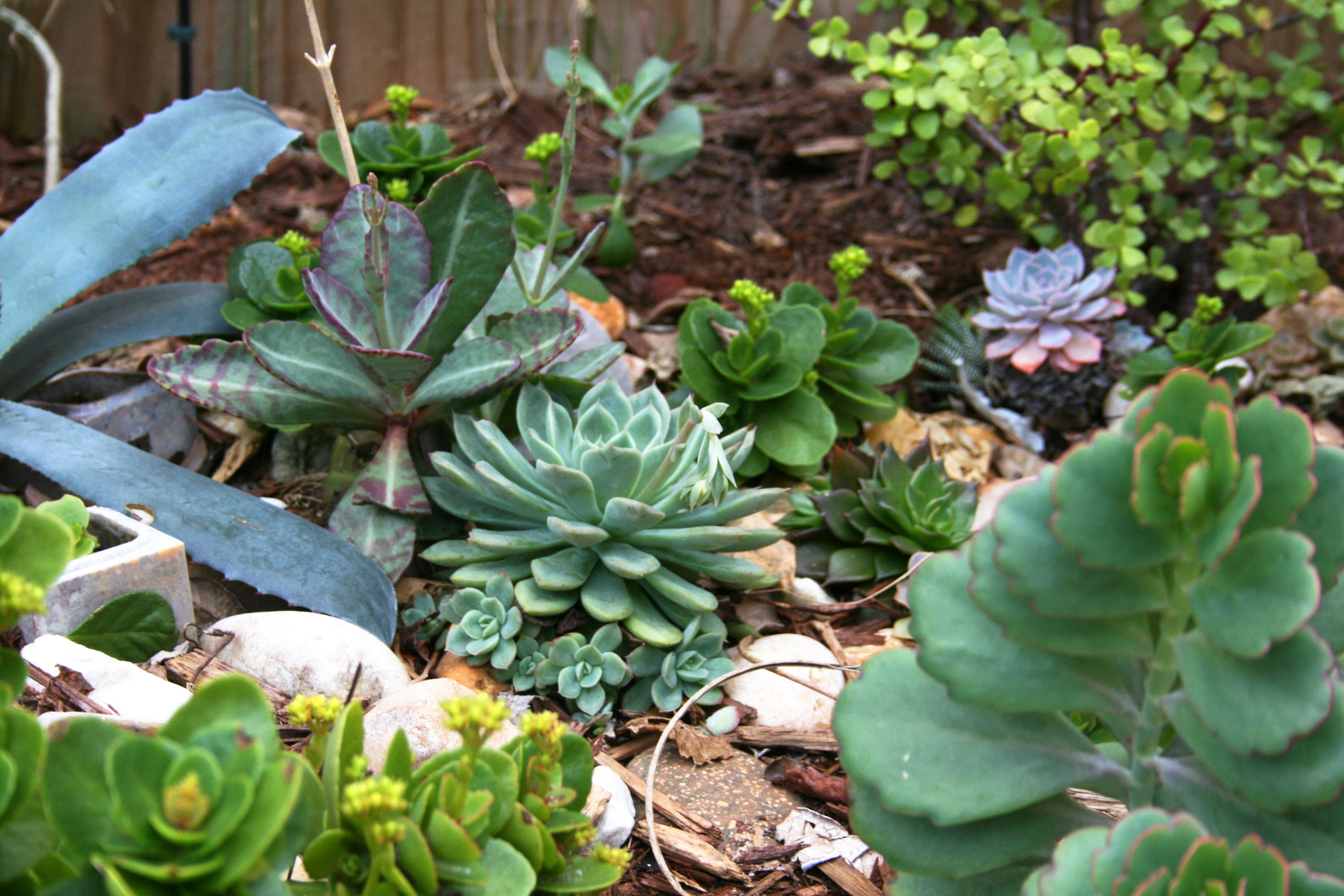 AZALEA GARDENS - Residential