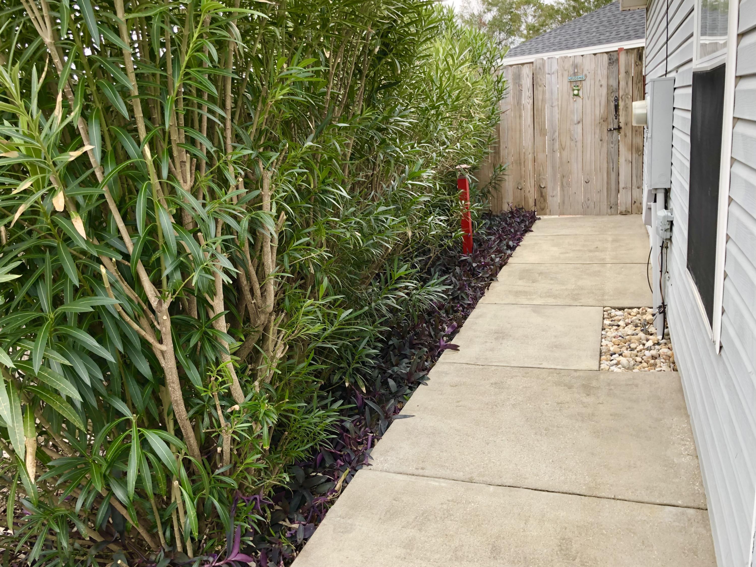 AZALEA GARDENS - Residential