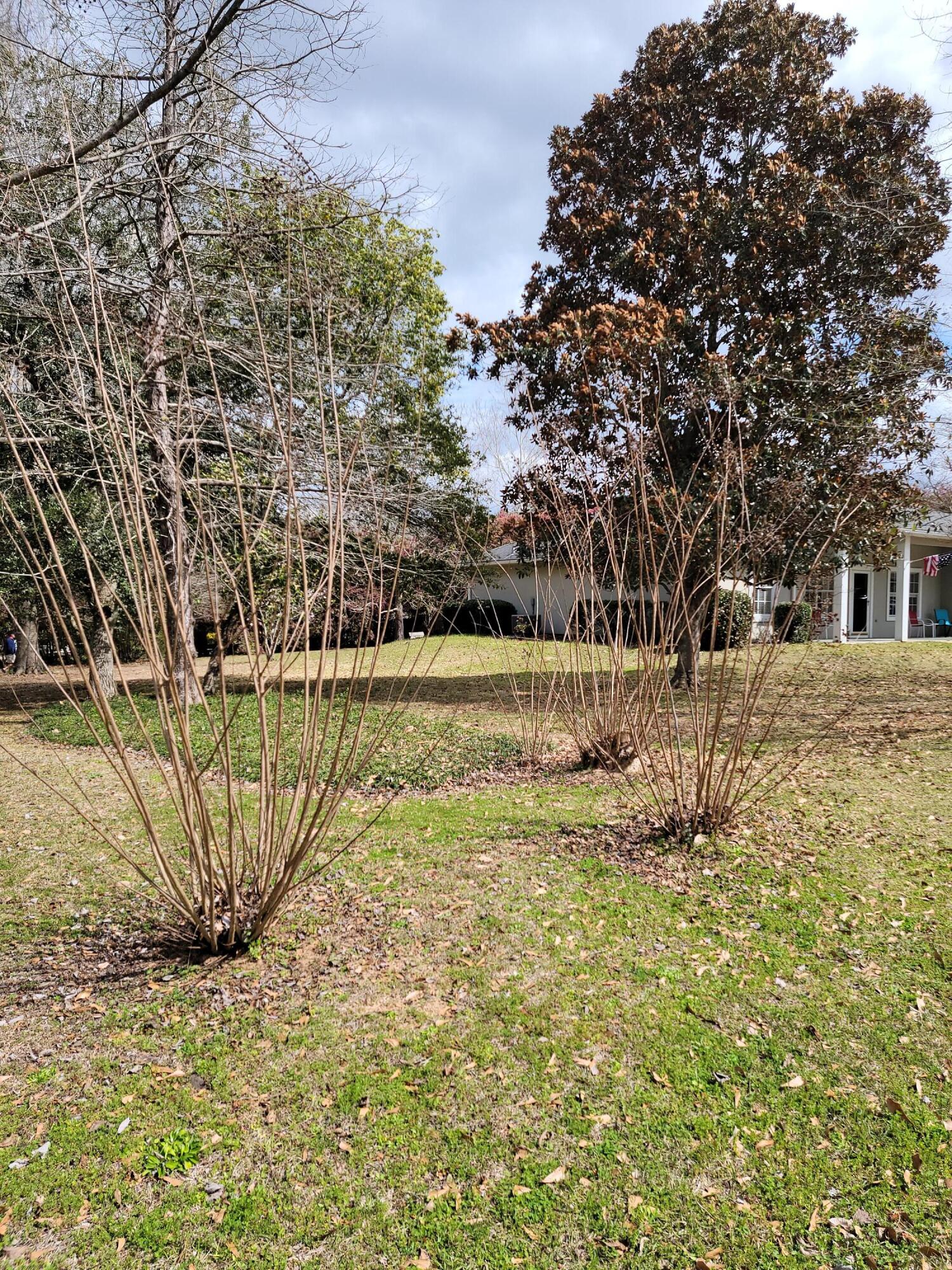 STAFFORD ESTATES - Residential