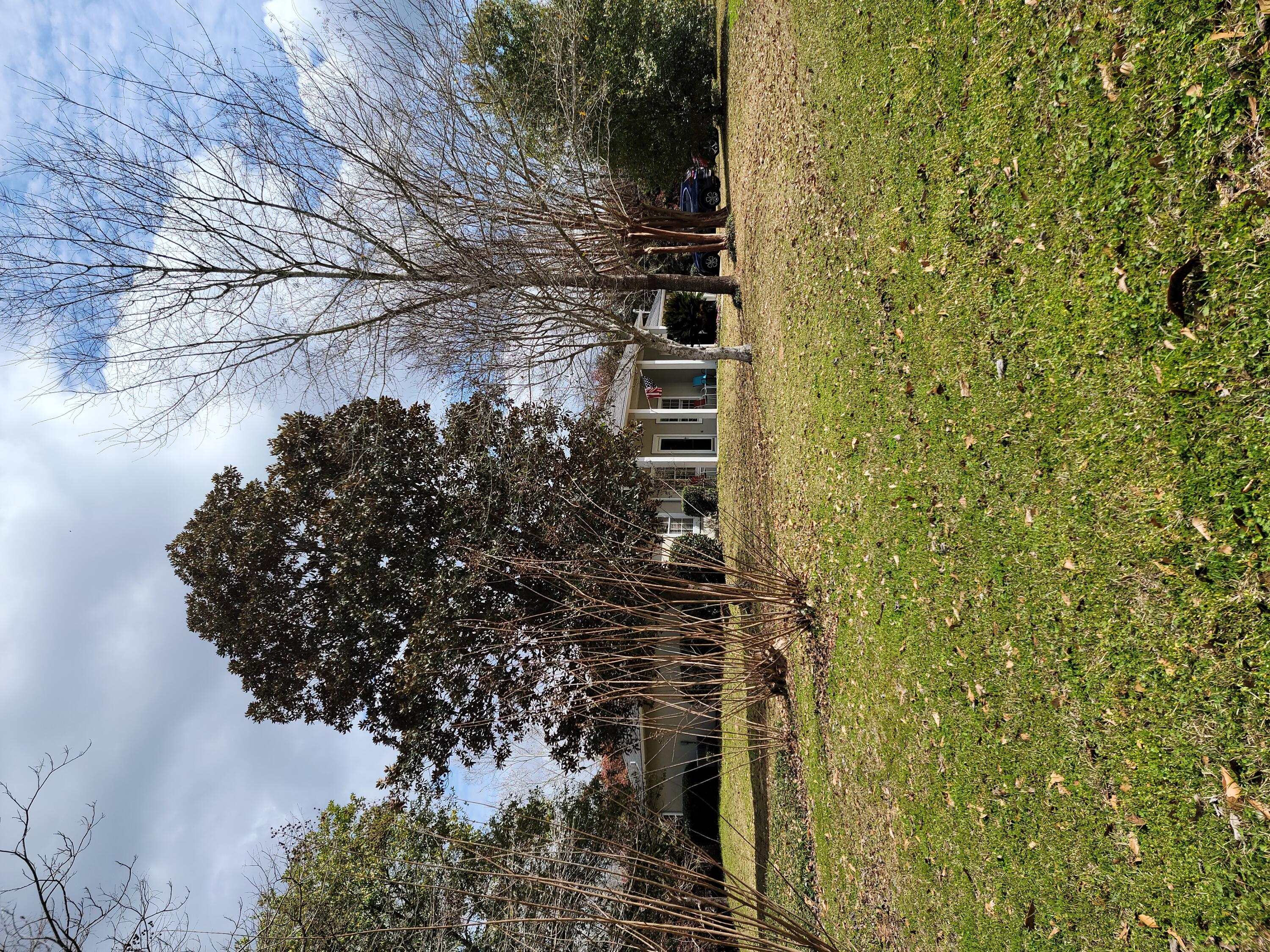 STAFFORD ESTATES - Residential