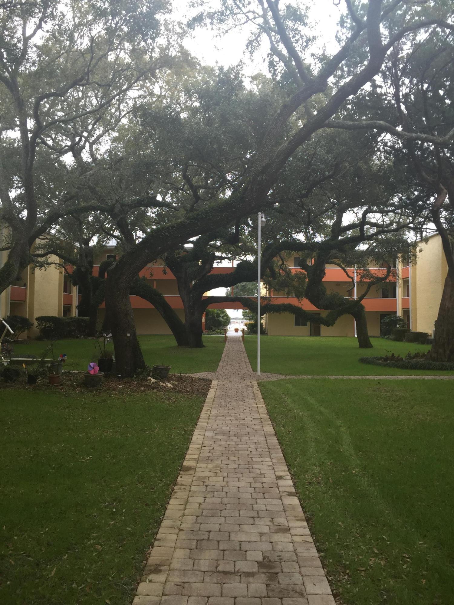 CEDARS THE - Residential