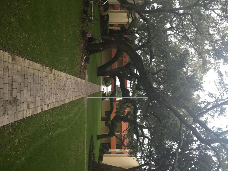 REMODELED ground floor unit on east side of building. Unit has new paint throughout, new carpet in each bedroom, and new tile in living area. ALL NEW stainless appliances! E102 has not been lived in since remodel!