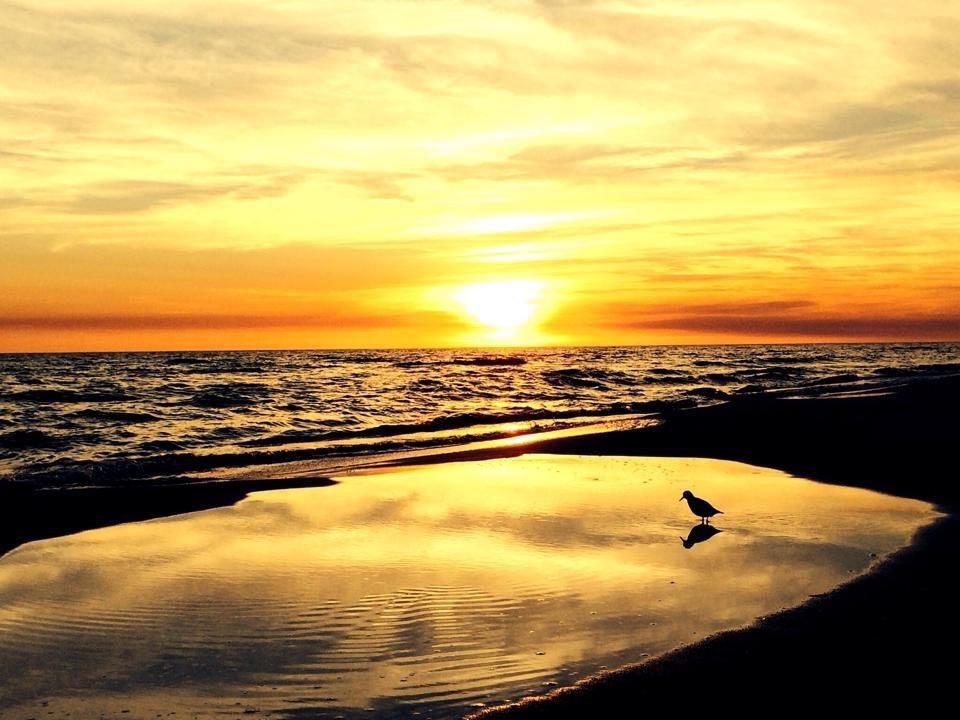 BRIDGEPORT COLONY - Residential