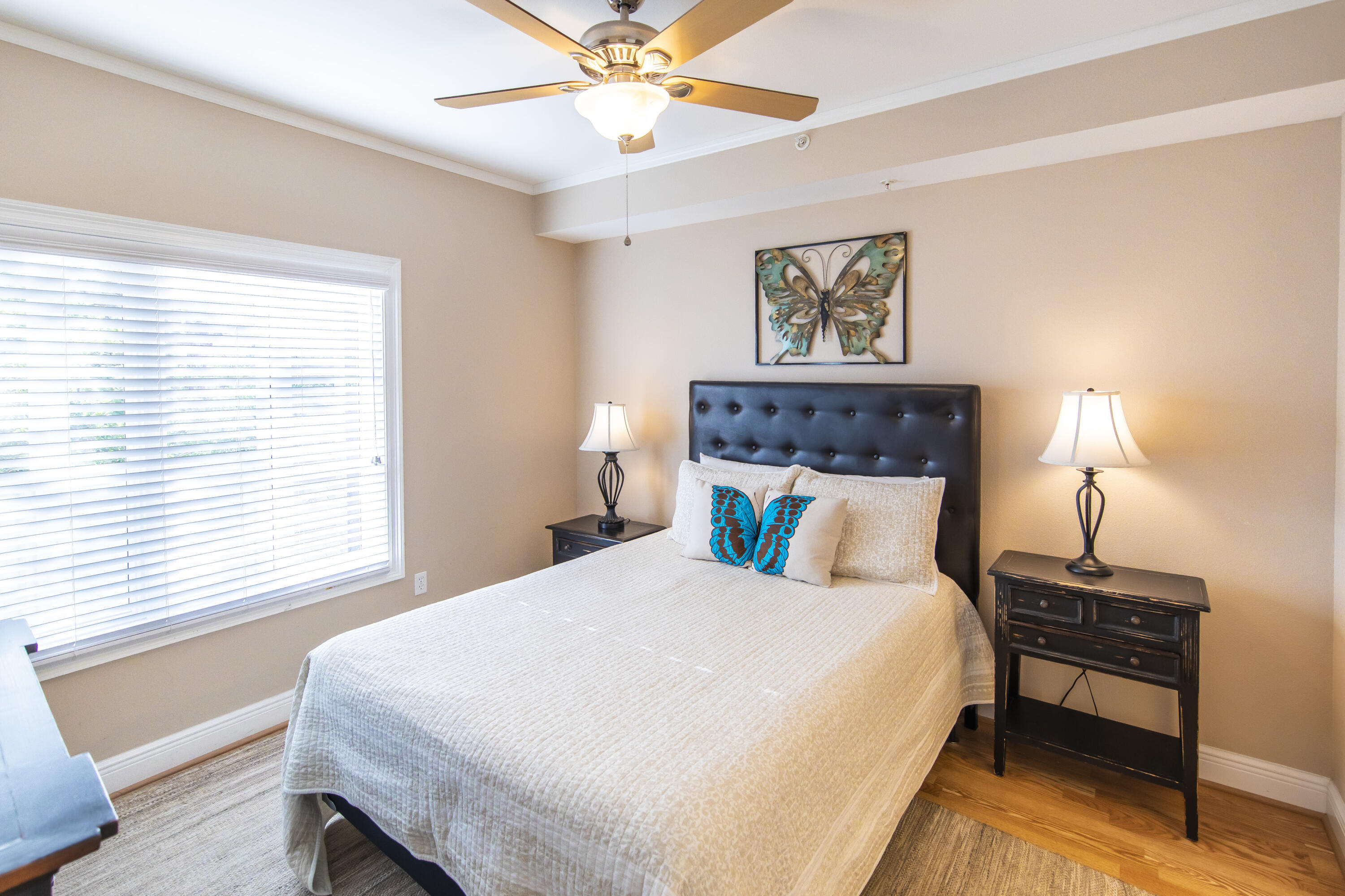 CASSINE STATION - Residential