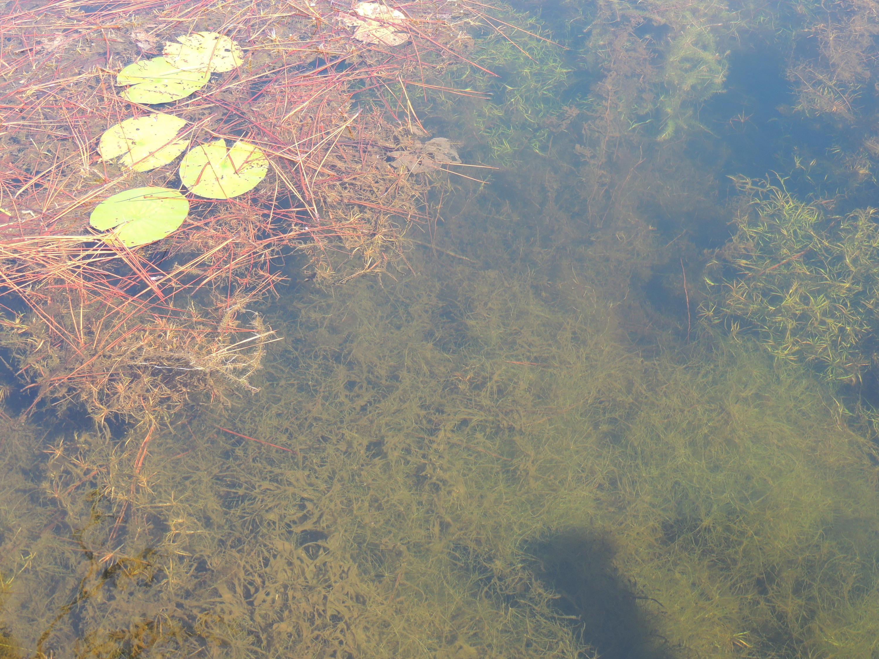 HARVEST HILLS, 2nd Addition - Residential